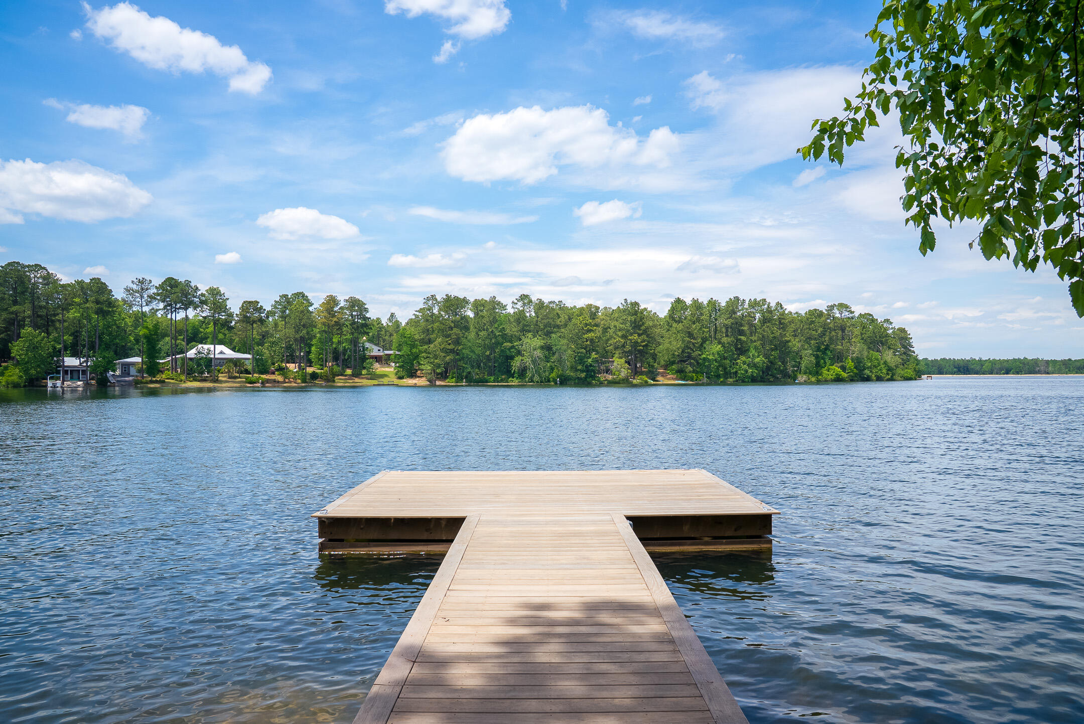 1049 Edisto Lake Road Wagener, SC 29164 - Photo 11 of 96
