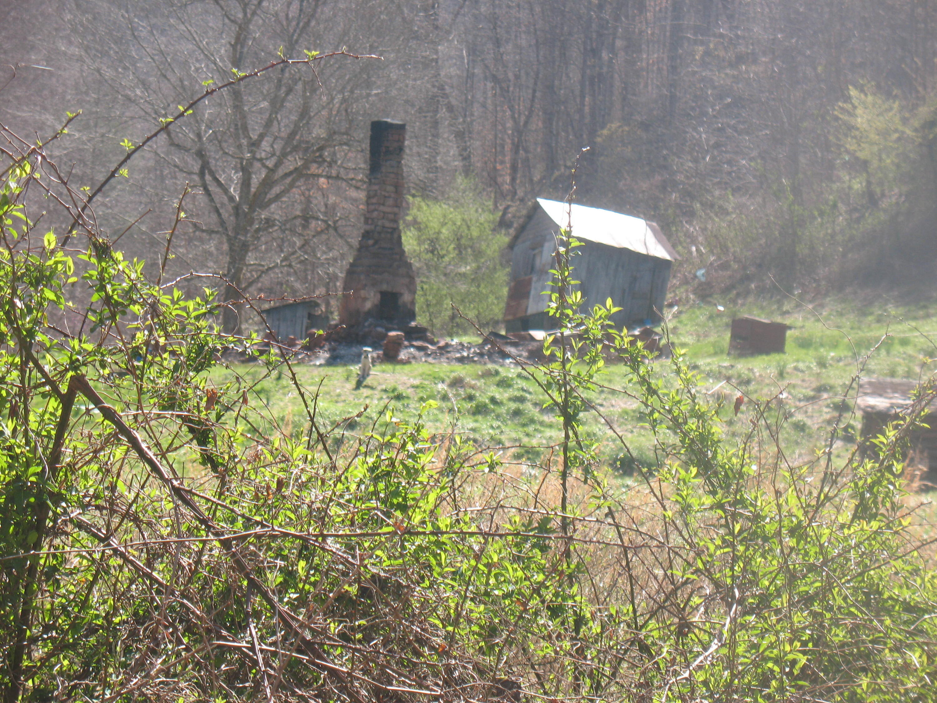 1391 Long Branch Road Oneida, KY 40972 - Photo 5 of 13 IMG_4595