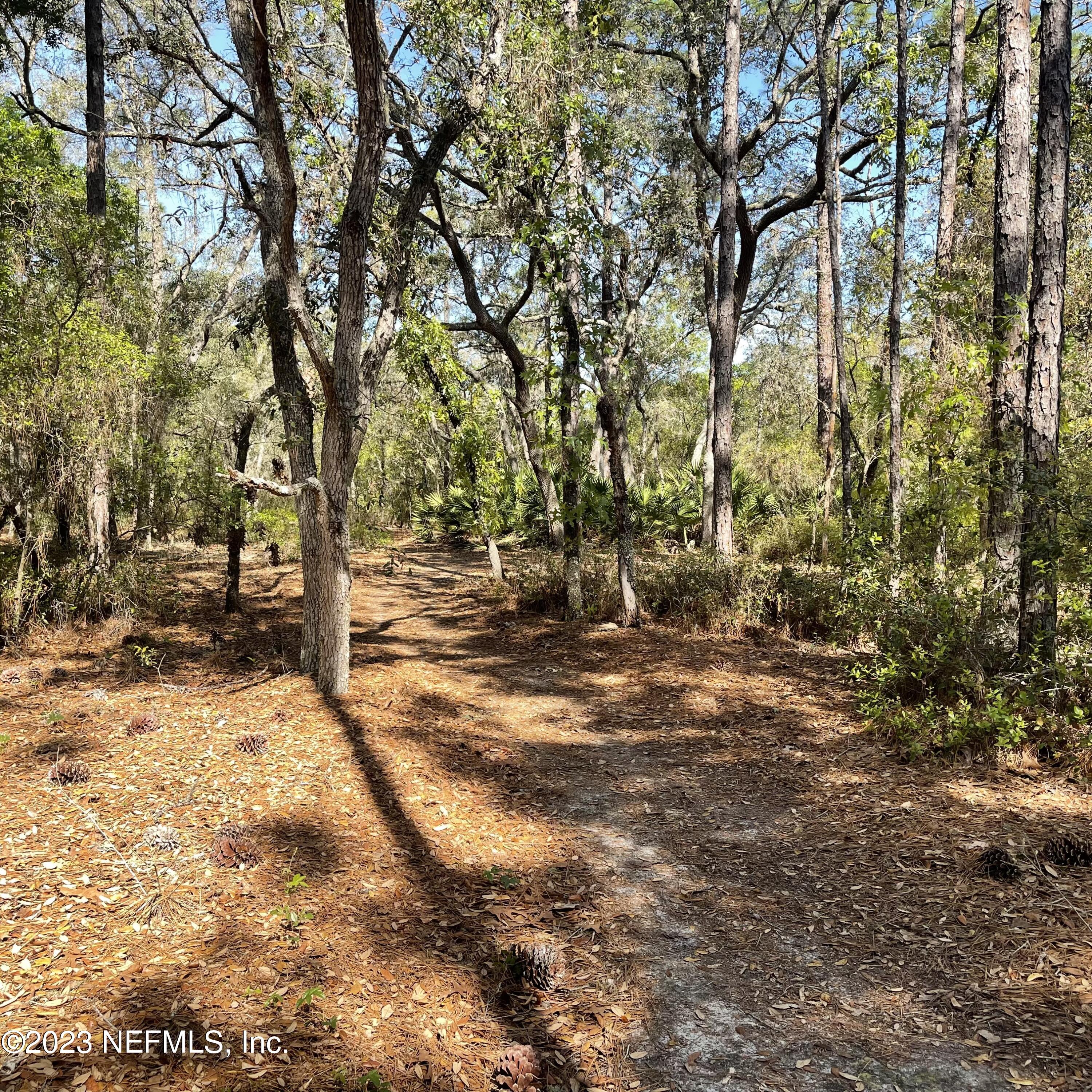 0 Neal Road Hawthorne, FL 32640 - Photo 11 of 35 IMG_E8876