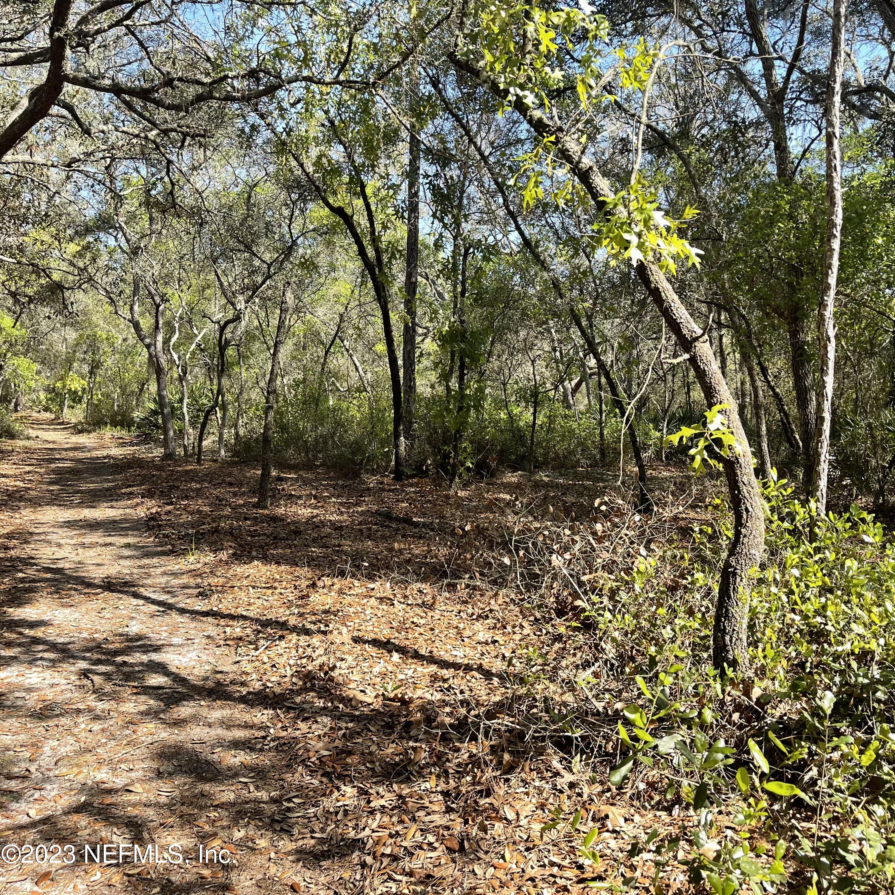 0 Neal Road Hawthorne, FL 32640 - Photo 13 of 35 IMG_E8878