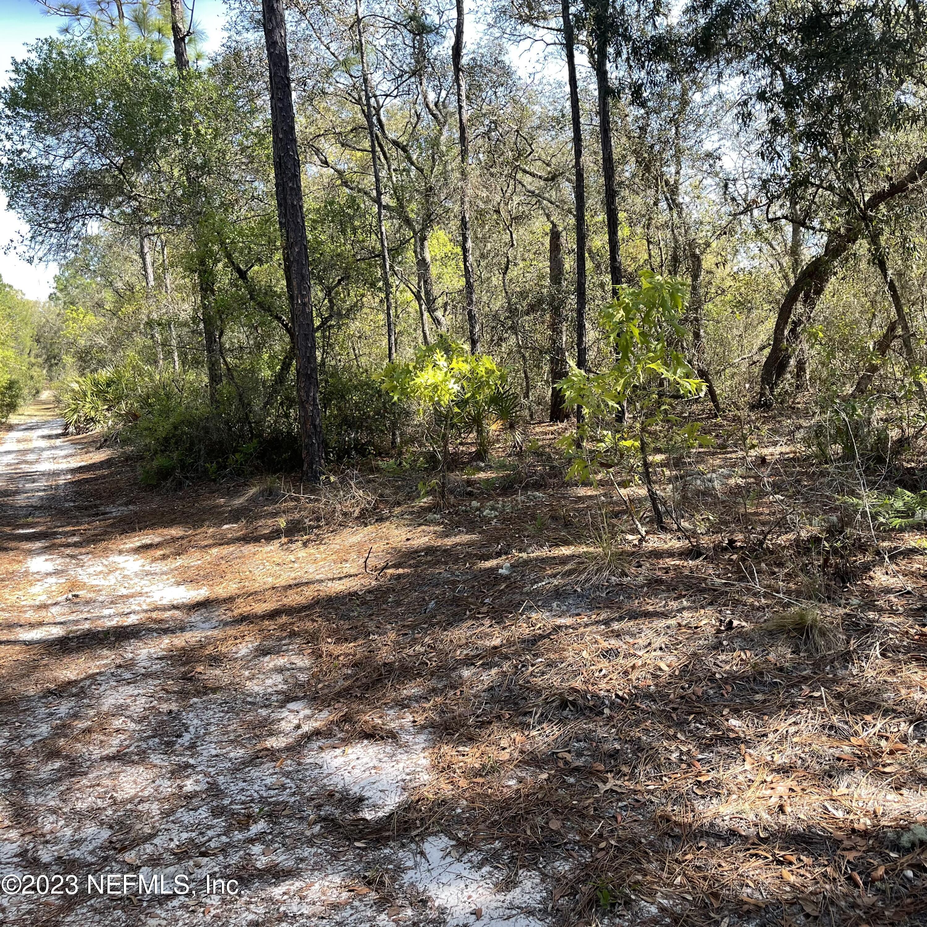 0 Neal Road Hawthorne, FL 32640 - Photo 15 of 35 IMG_E8881
