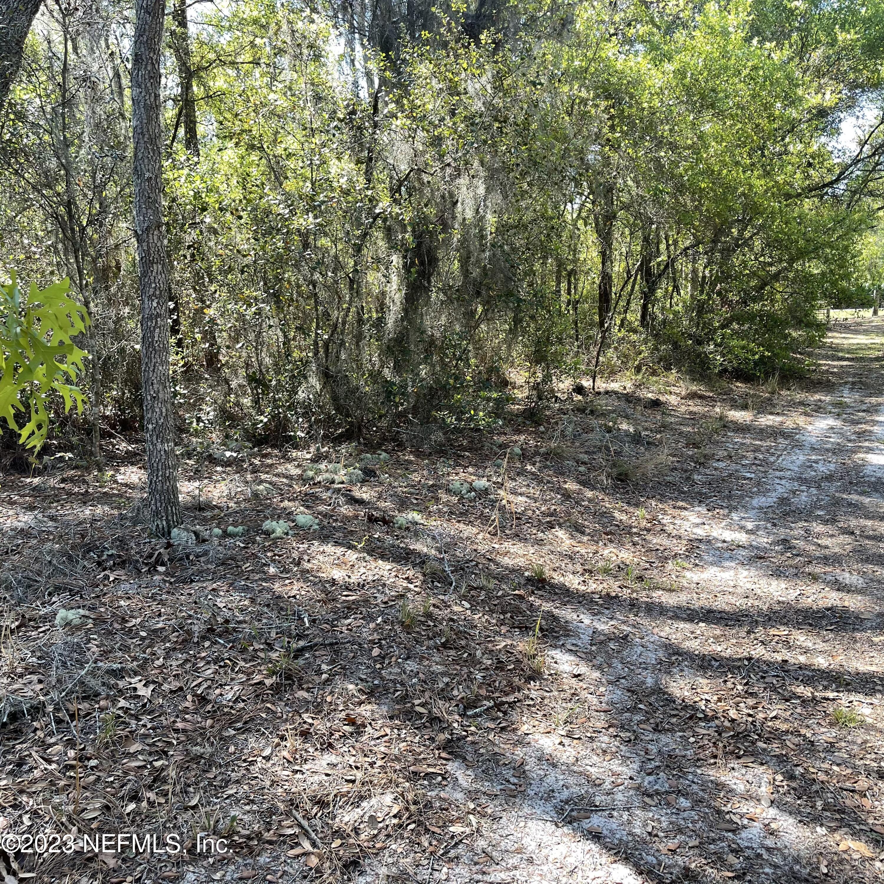 0 Neal Road Hawthorne, FL 32640 - Photo 16 of 35 IMG_E8882