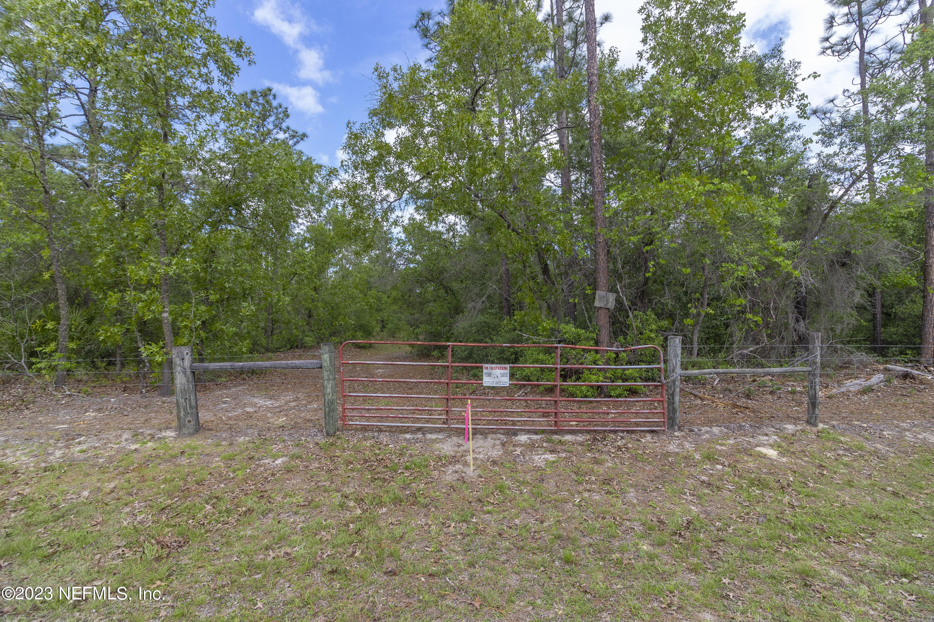 0 Neal Road Hawthorne, FL 32640 - Photo 21 of 35 1