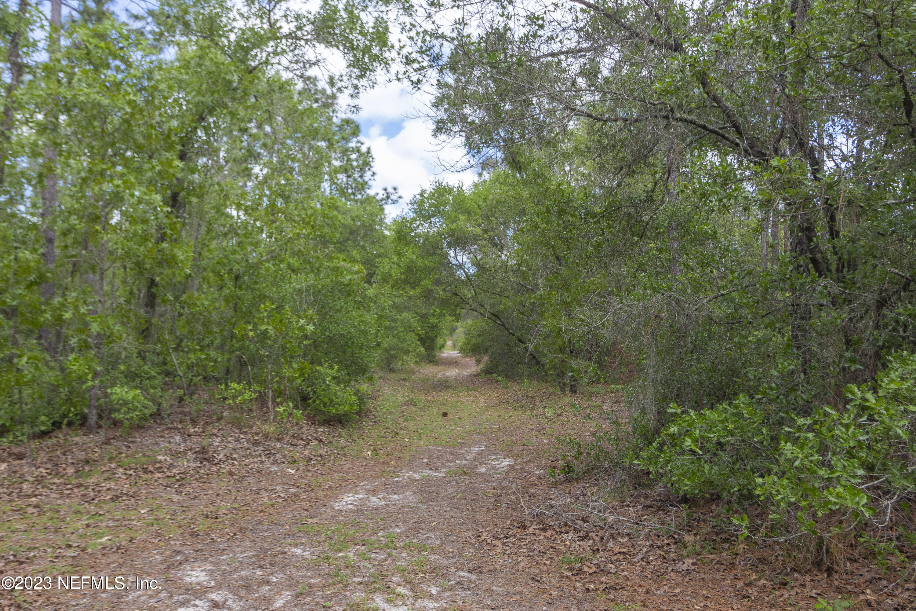 0 Neal Road Hawthorne, FL 32640 - Photo 23 of 35 1_2