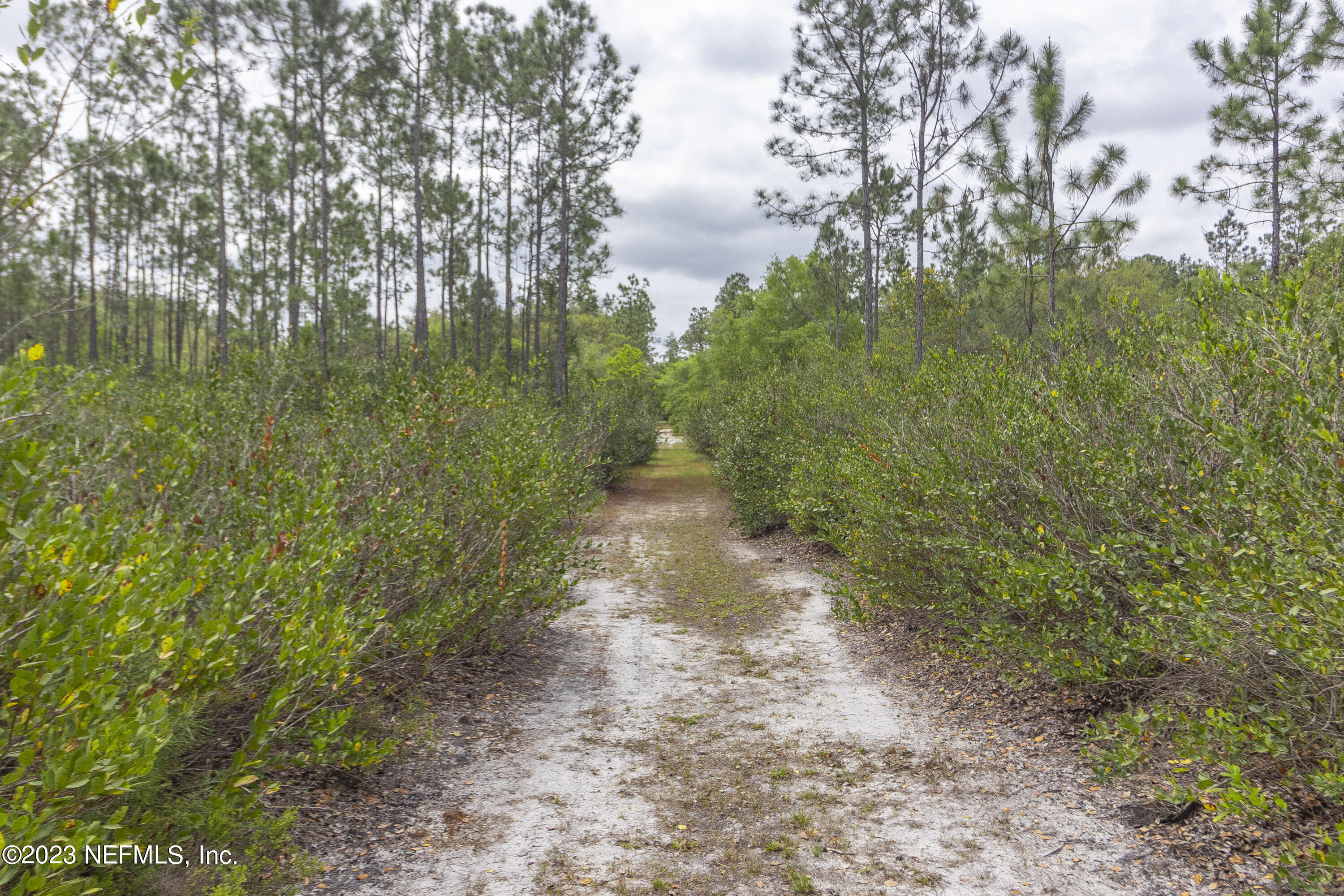 0 Neal Road Hawthorne, FL 32640 - Photo 24 of 35 1_3