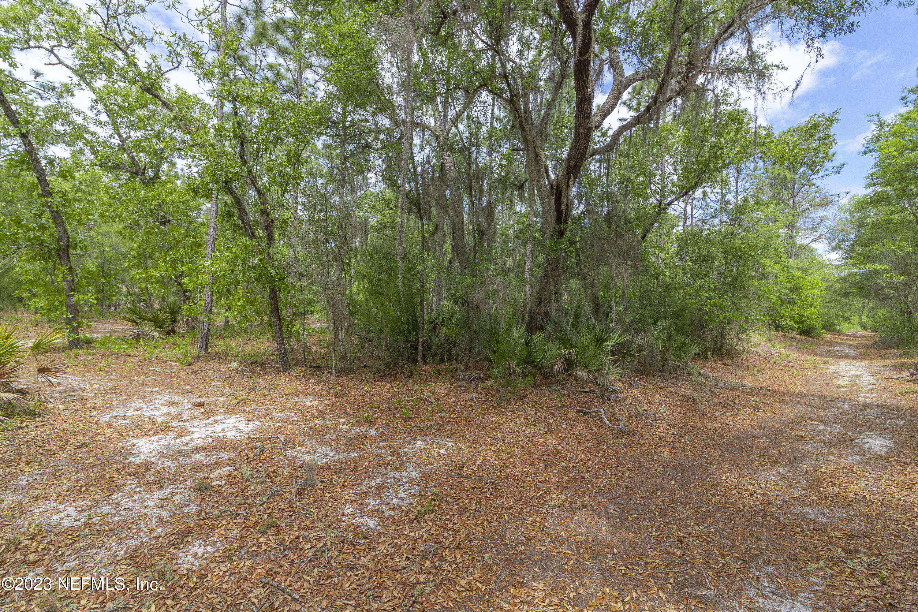 0 Neal Road Hawthorne, FL 32640 - Photo 25 of 35 1_4