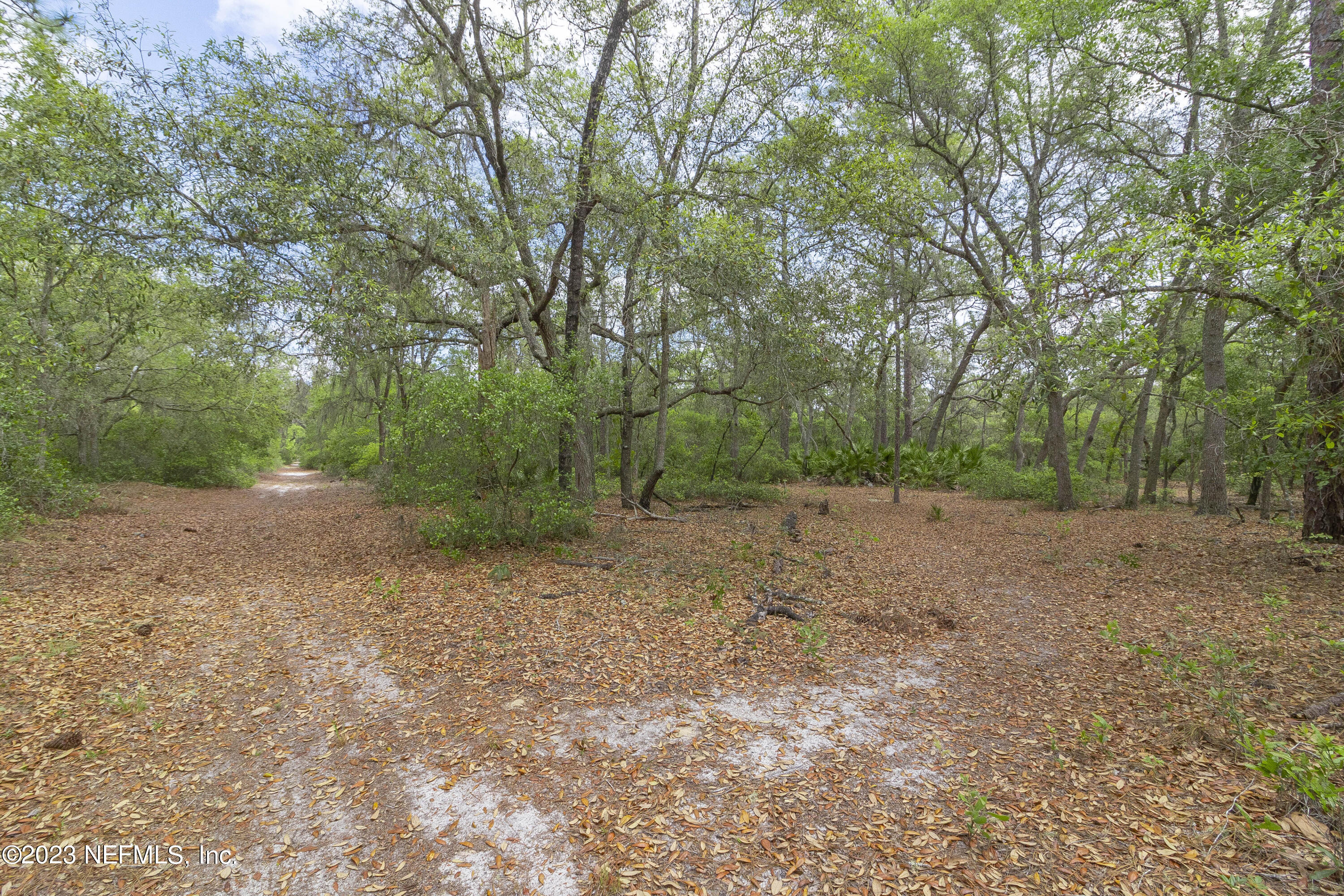 0 Neal Road Hawthorne, FL 32640 - Photo 26 of 35 1_5