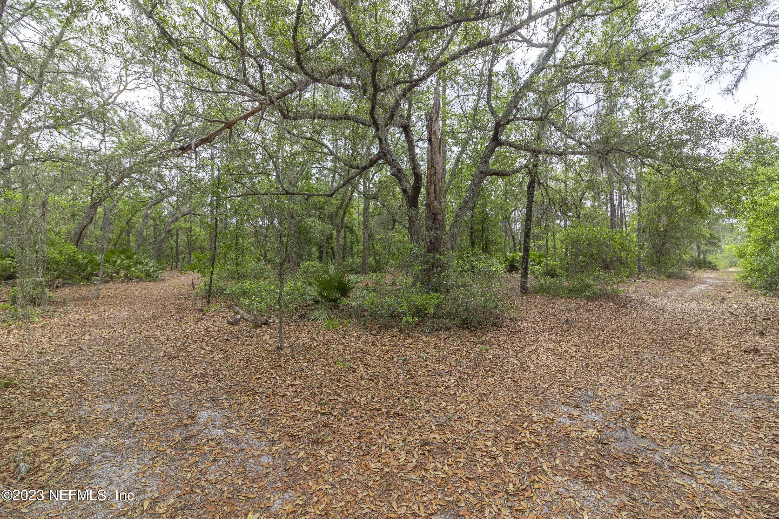 0 Neal Road Hawthorne, FL 32640 - Photo 27 of 35 1_6