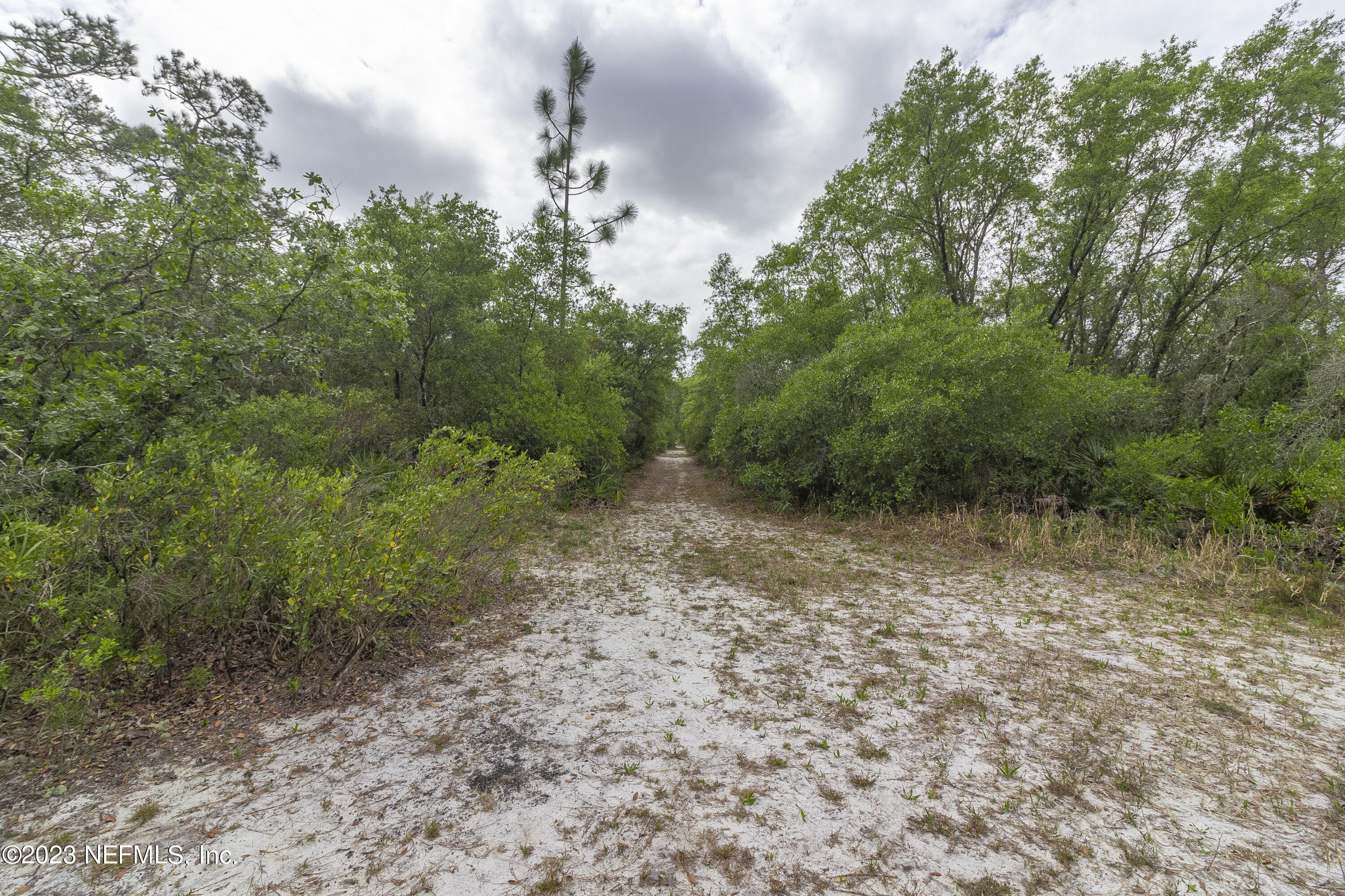 0 Neal Road Hawthorne, FL 32640 - Photo 28 of 35 1_8