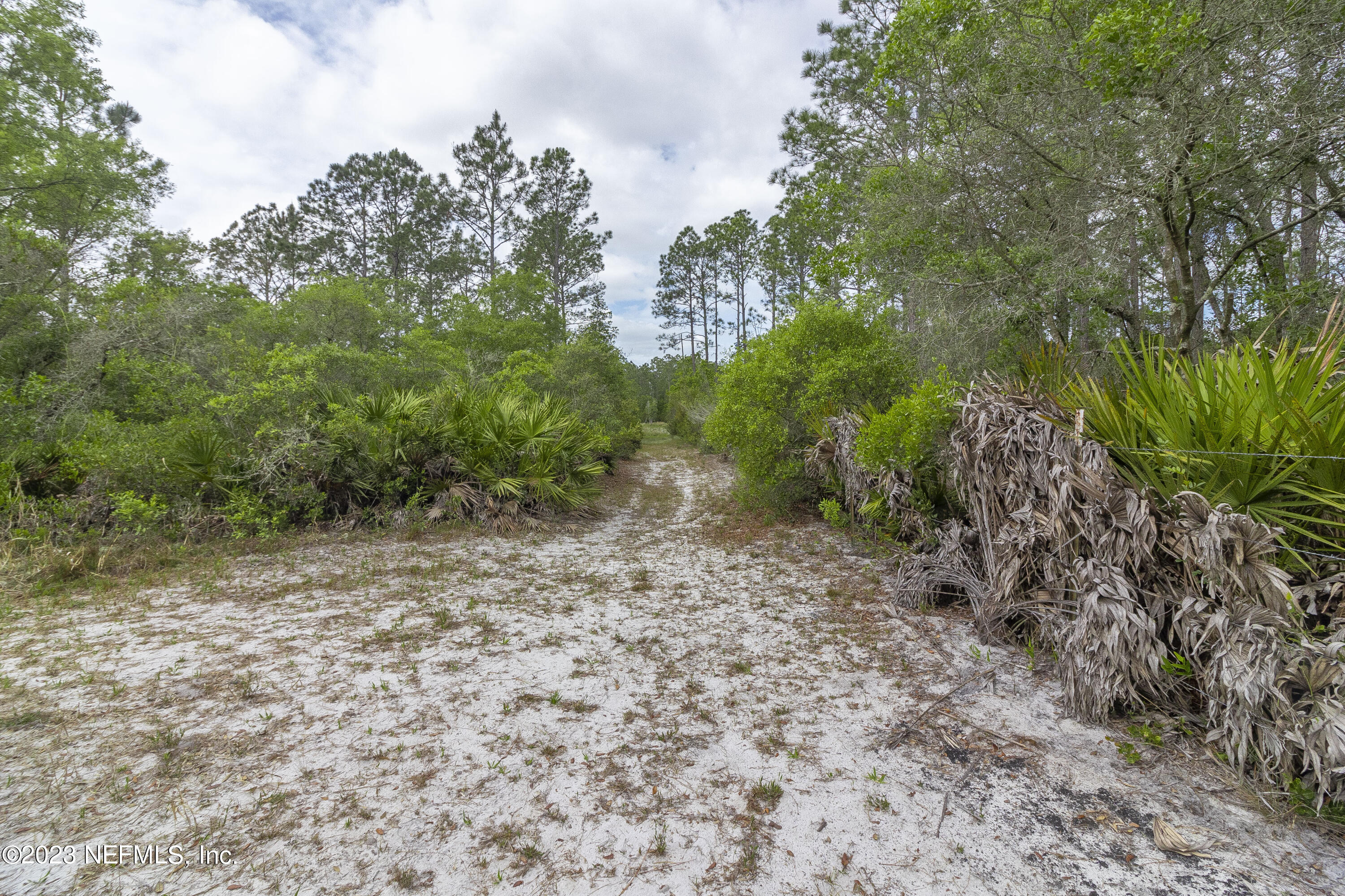 0 Neal Road Hawthorne, FL 32640 - Photo 29 of 35 1_9