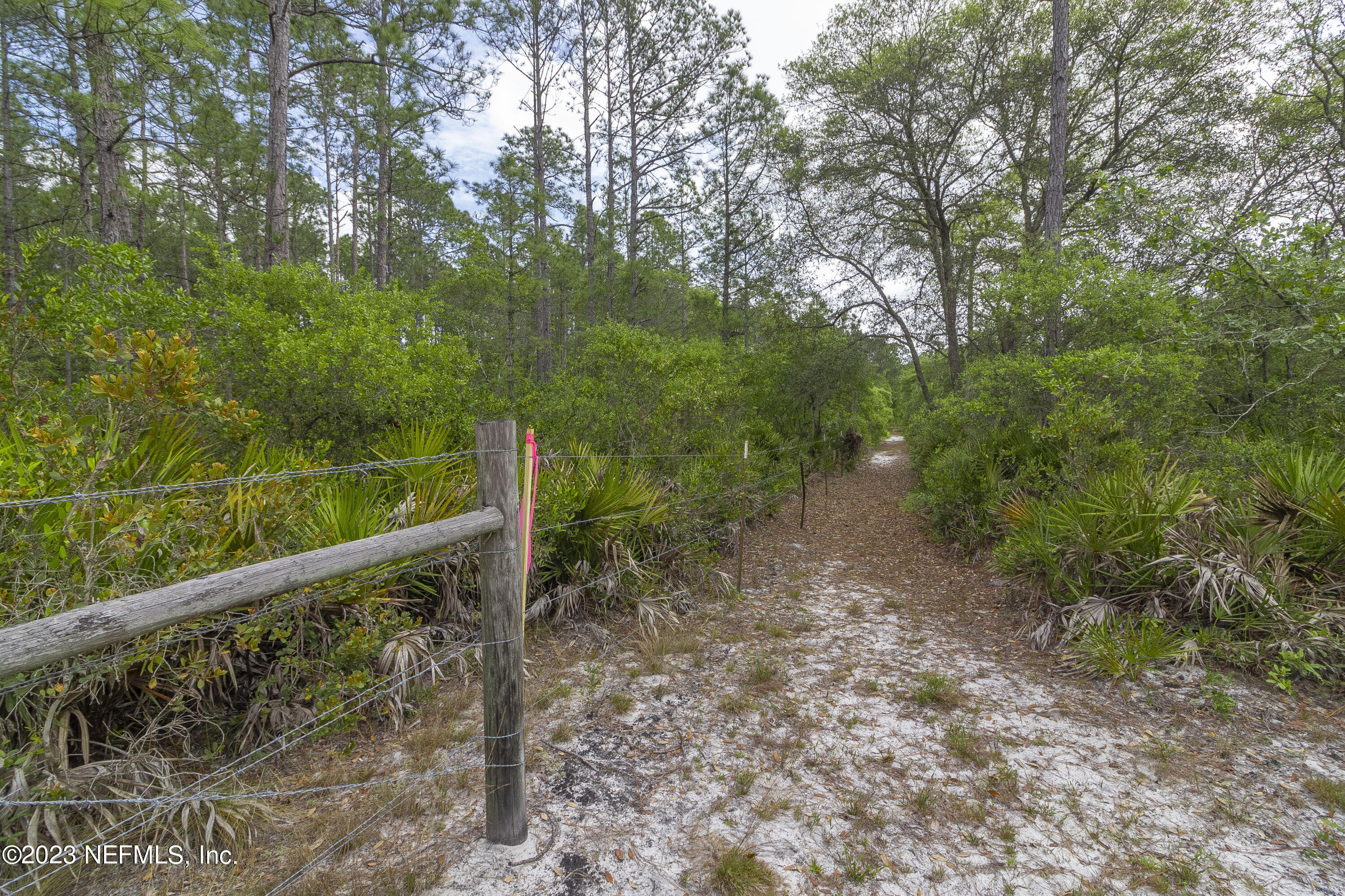0 Neal Road Hawthorne, FL 32640 - Photo 4 of 35 00 Neal Rd, Hawthorne, Florida