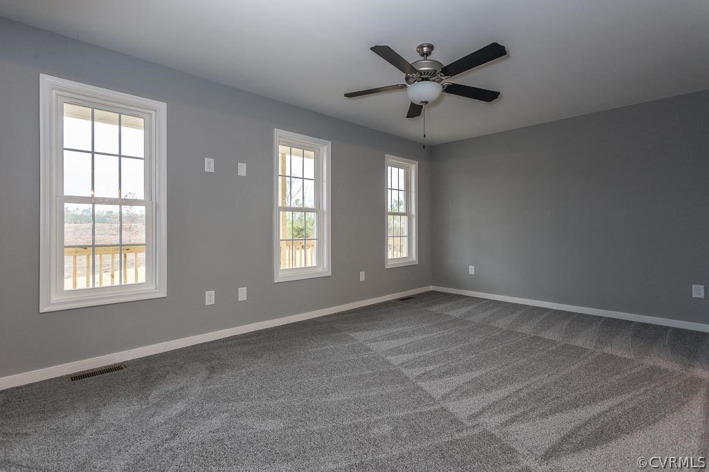 Lot 6 Railroad Bed Road Carson, VA 23830 - Photo 11 of 34 Gallery Image 11
