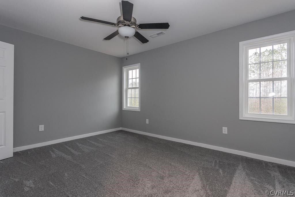 Lot 6 Railroad Bed Road Carson, VA 23830 - Photo 20 of 34 Gallery Image 20