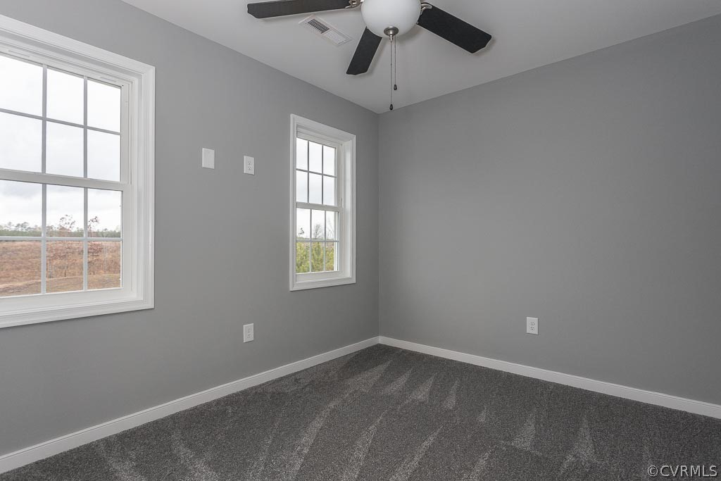 Lot 6 Railroad Bed Road Carson, VA 23830 - Photo 24 of 34 Gallery Image 24