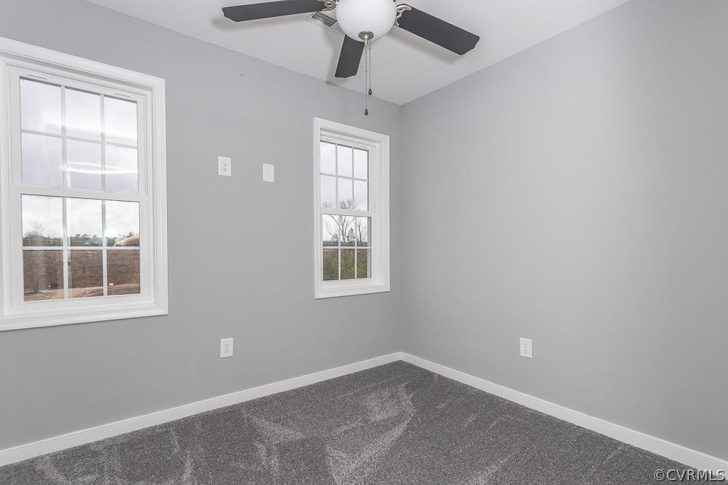 Lot 6 Railroad Bed Road Carson, VA 23830 - Photo 28 of 34 Gallery Image 28