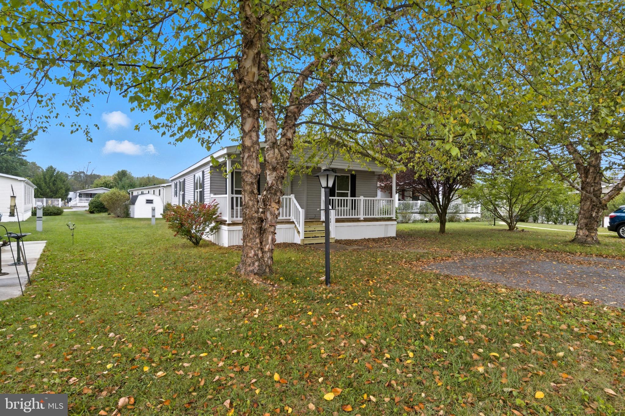 800 York Road, Unit 290 Dover, PA 17315 - Photo 3 of 23 a tree in front of a white house