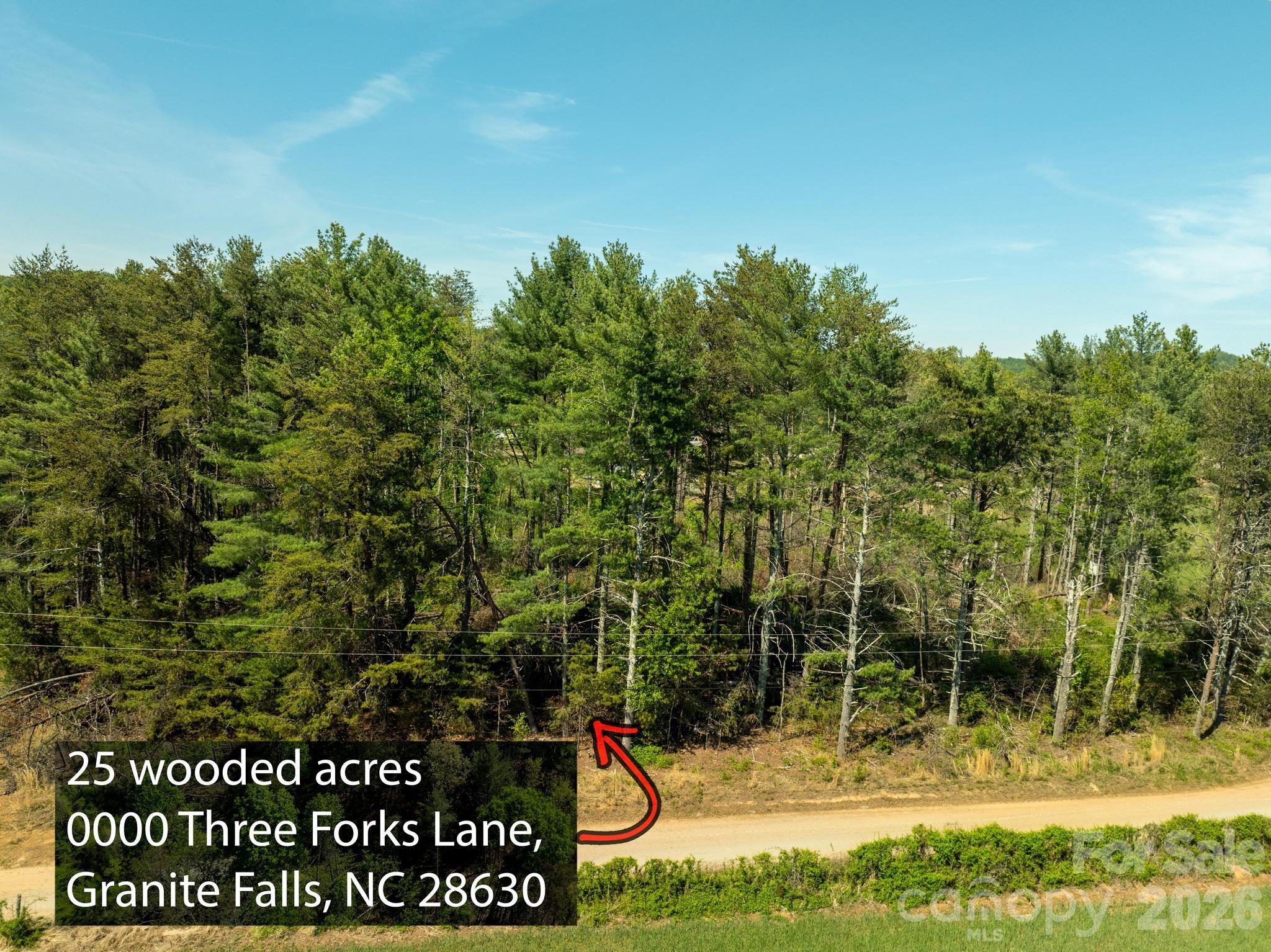 0 Three Forks Lane Granite Falls, NC 28630 - Photo 5 of 10