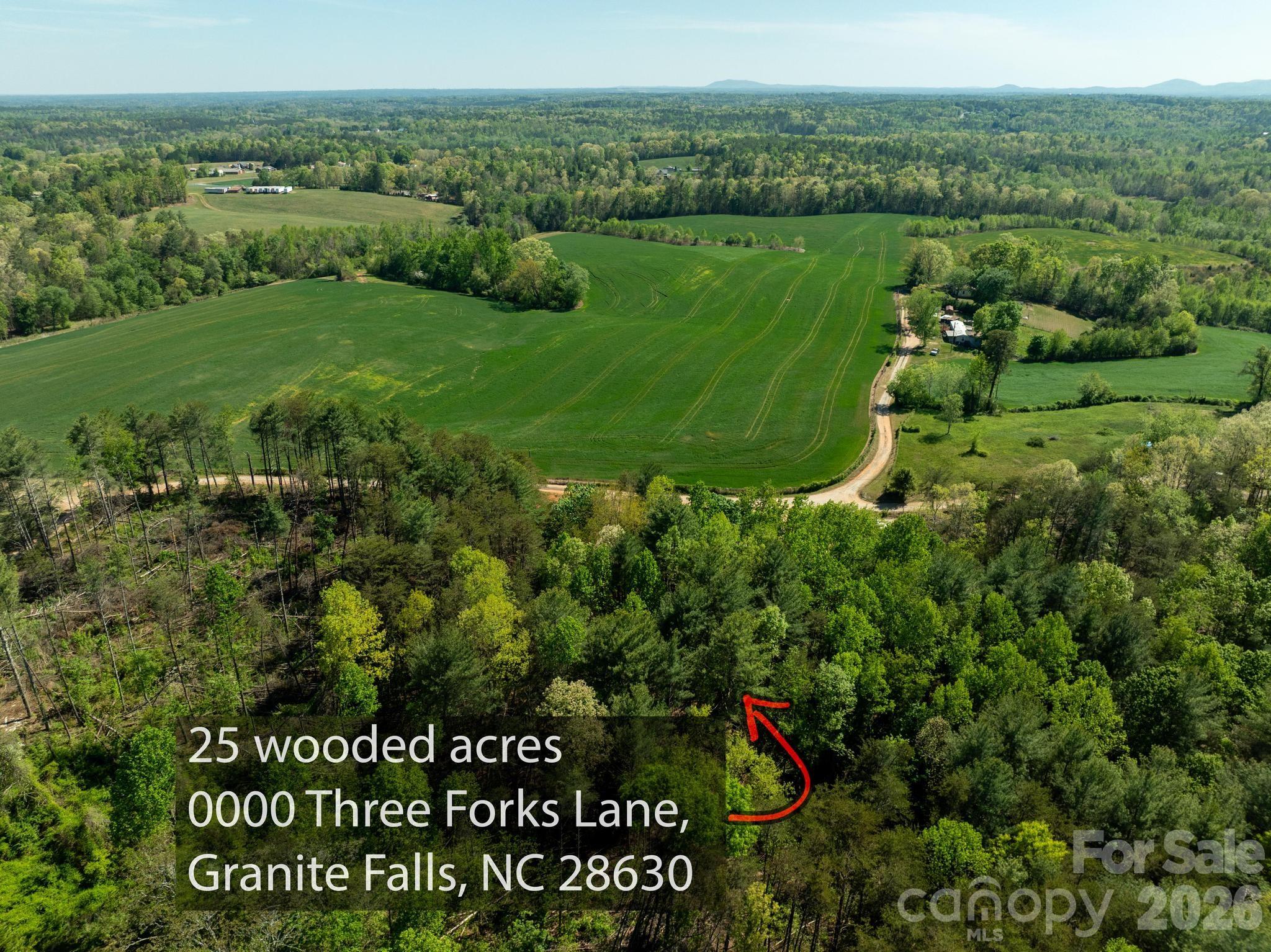 0 Three Forks Lane Granite Falls, NC 28630 - Photo 6 of 10 a view of a green field