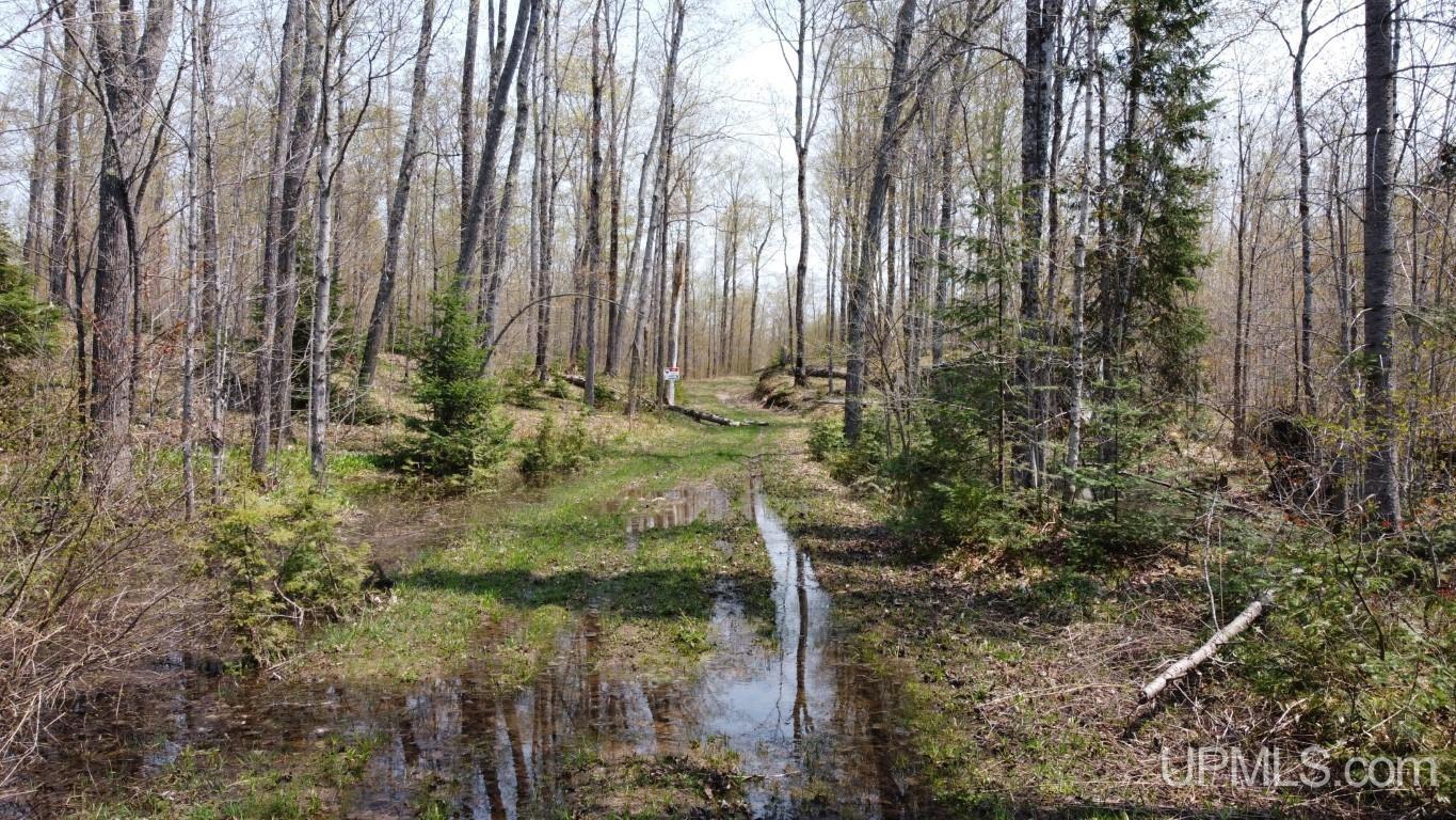 H58 Rd Munising Mi 49862 Road Munising, MI 49862 - Photo 8 of 9