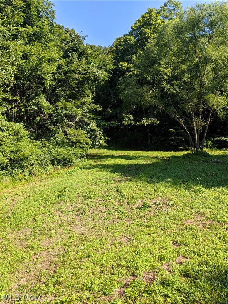 55234 North Star Road Pleasant City, OH 43772 - Photo 31 of 35