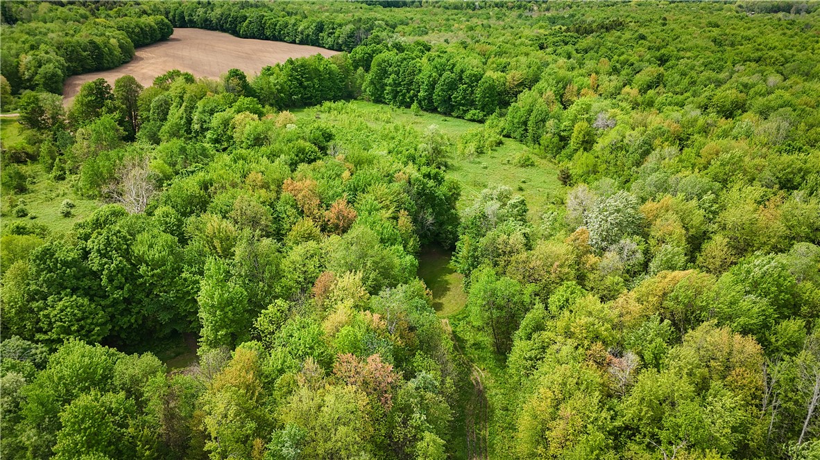 Gifford Road Hannibal, NY 13074 - Photo 22 of 50
