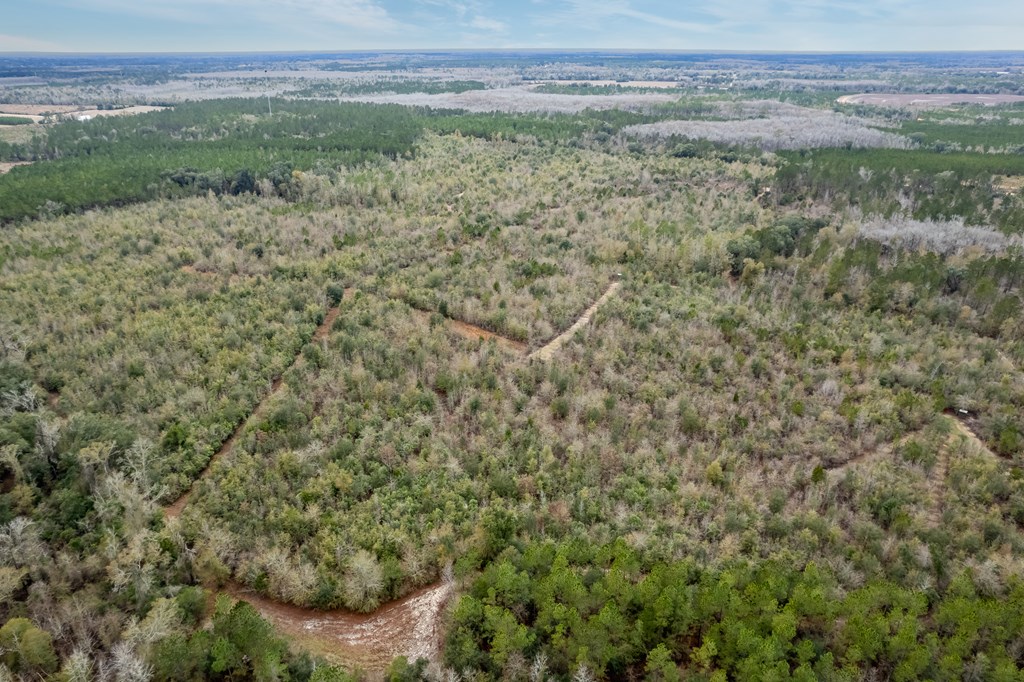 2 Pilgram Ch Road Gordon, AL 36343 - Photo 17 of 17