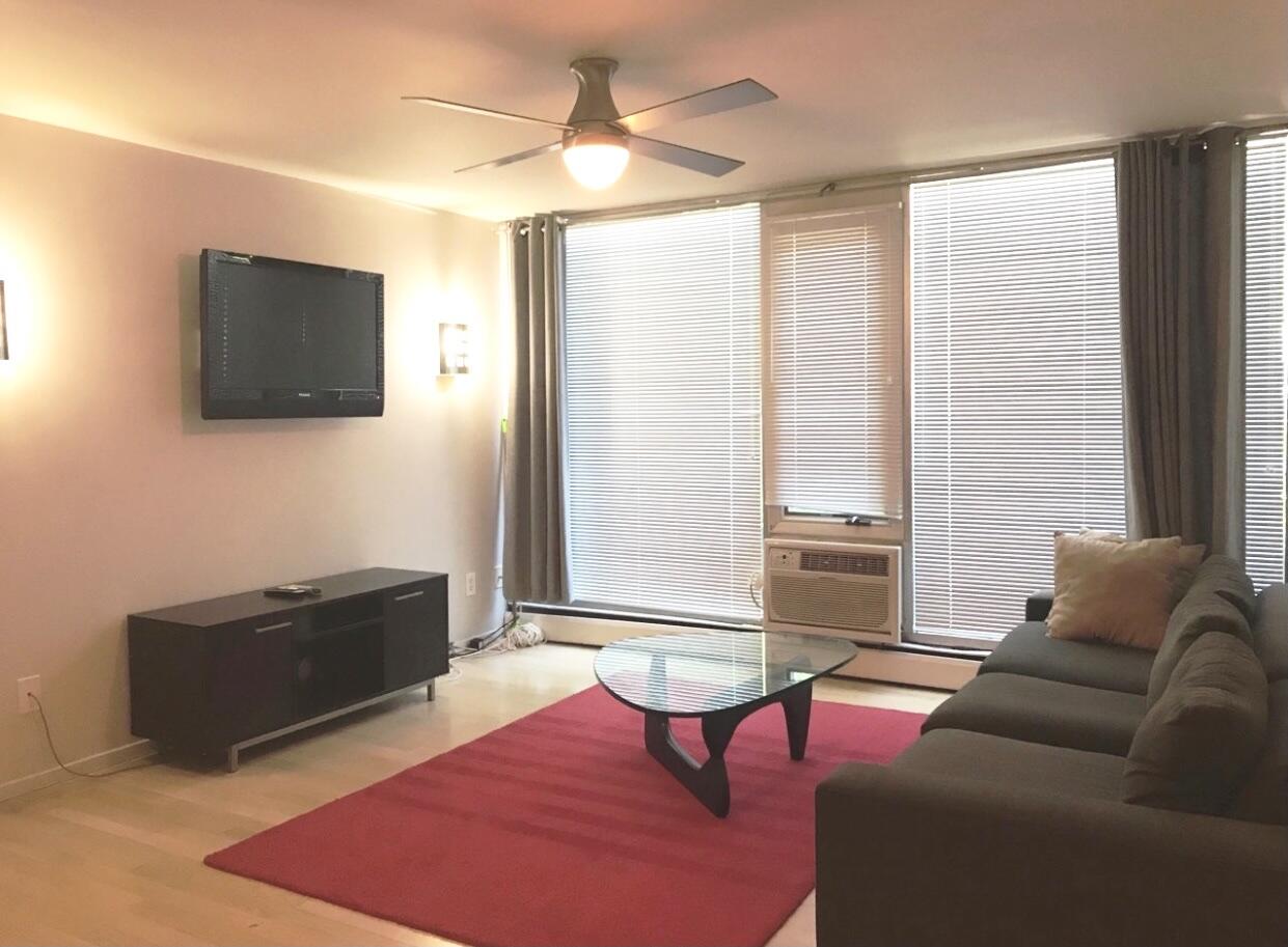 1531 Packard Street, Unit 6 Ann Arbor, MI 48104 - Photo 5 of 17 1531 Packard Living room