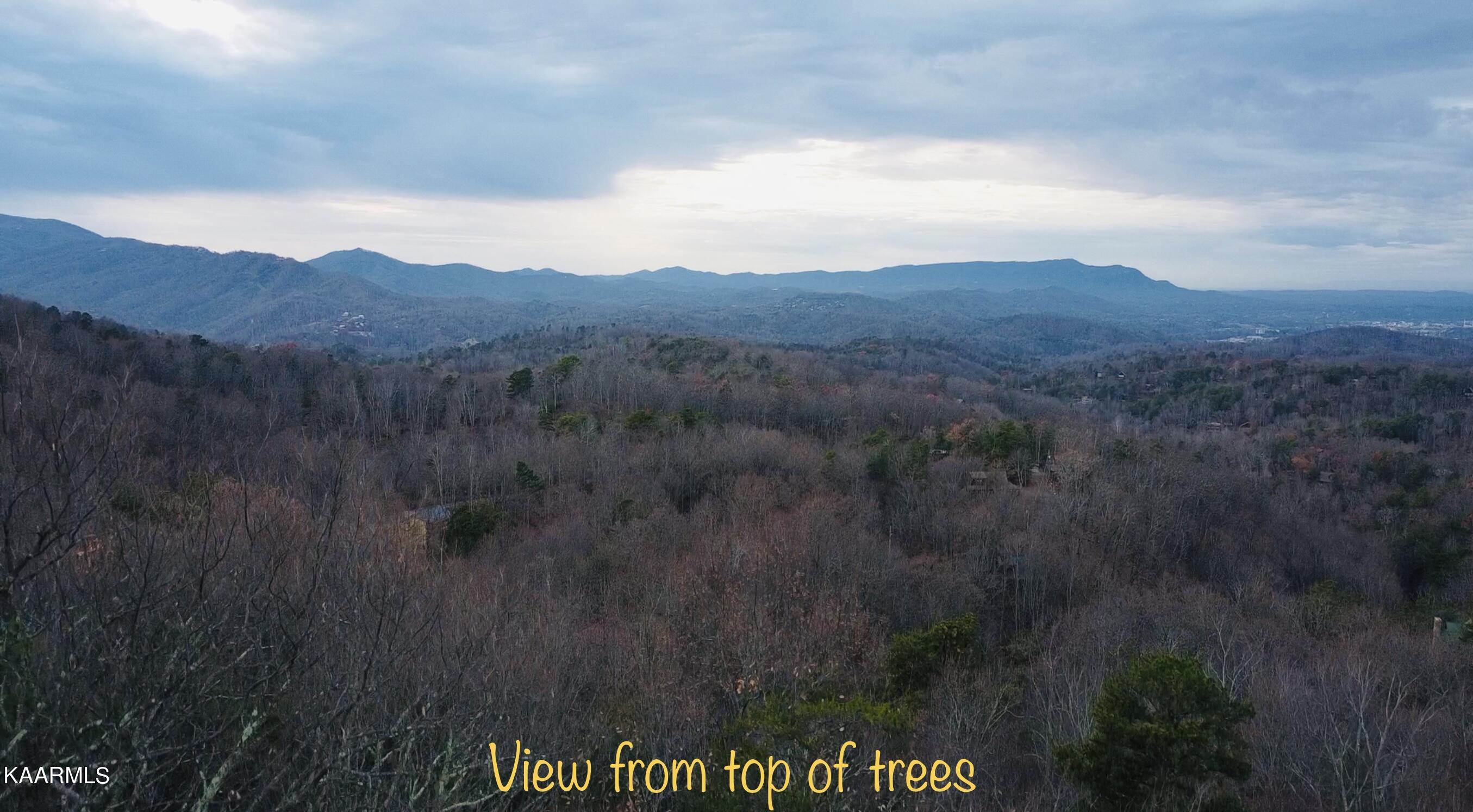 Lot 666 Battle Top Road Sevierville, TN 37876 - Photo 2 of 9 C2CA6F31-9930-4919-B9E9-509D1EFAC7F8