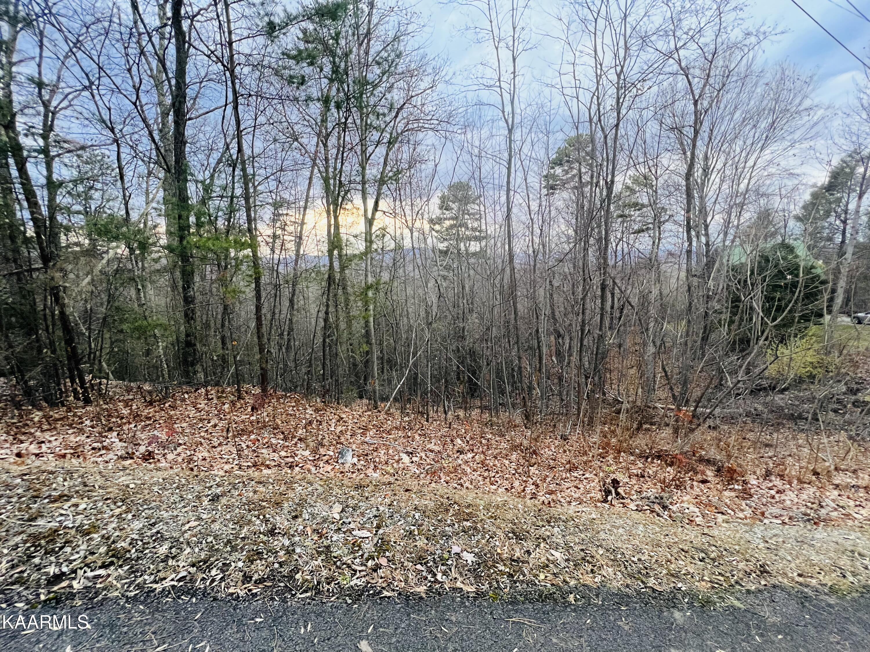 Lot 666 Battle Top Road Sevierville, TN 37876 - Photo 8 of 9 AFBBDDEF-FF5D-4DE7-BB9A-7AB481A02793