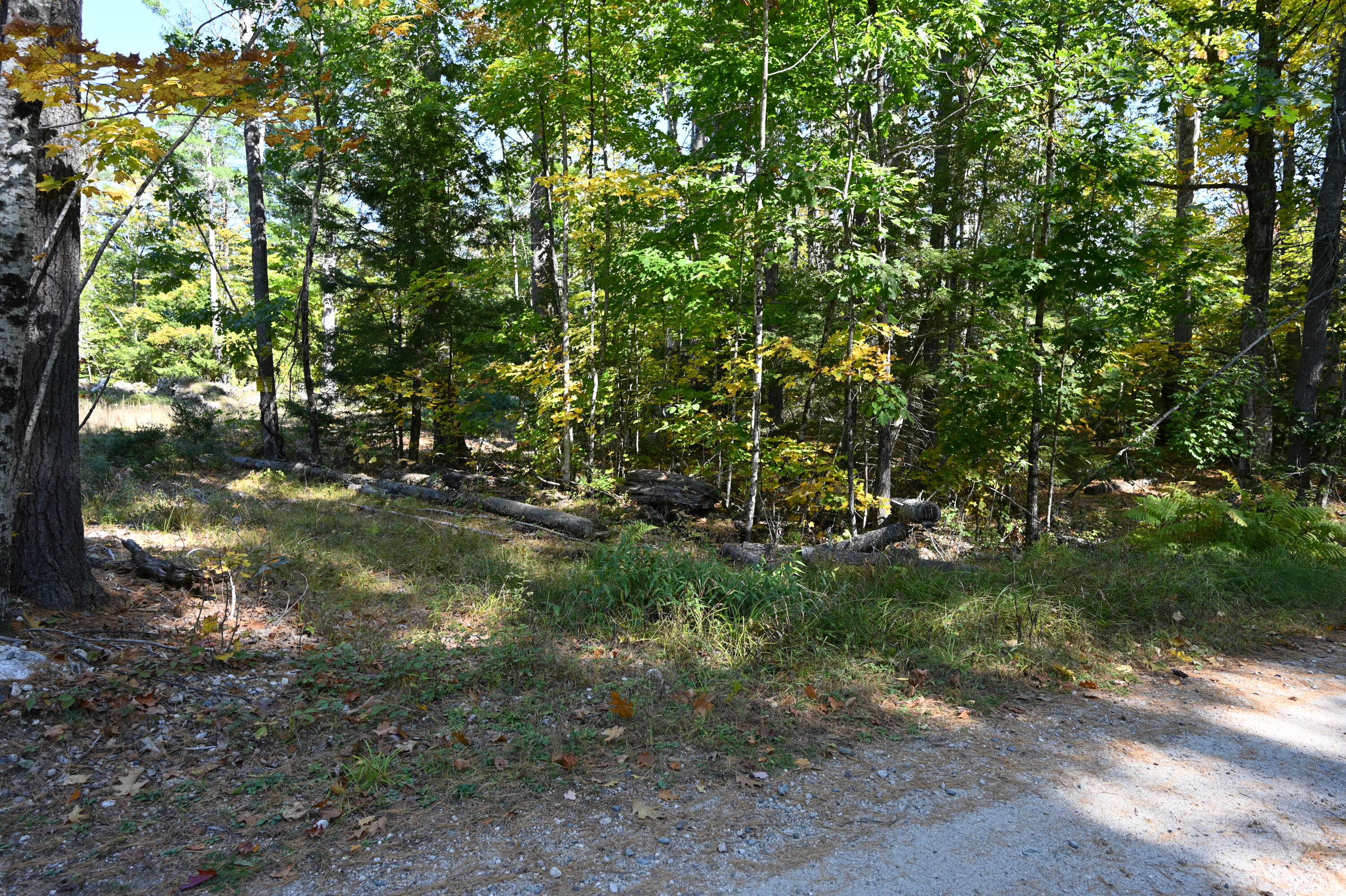 411 Middle Road Standish, ME 04085 - Photo 1 of 9 Road frontage