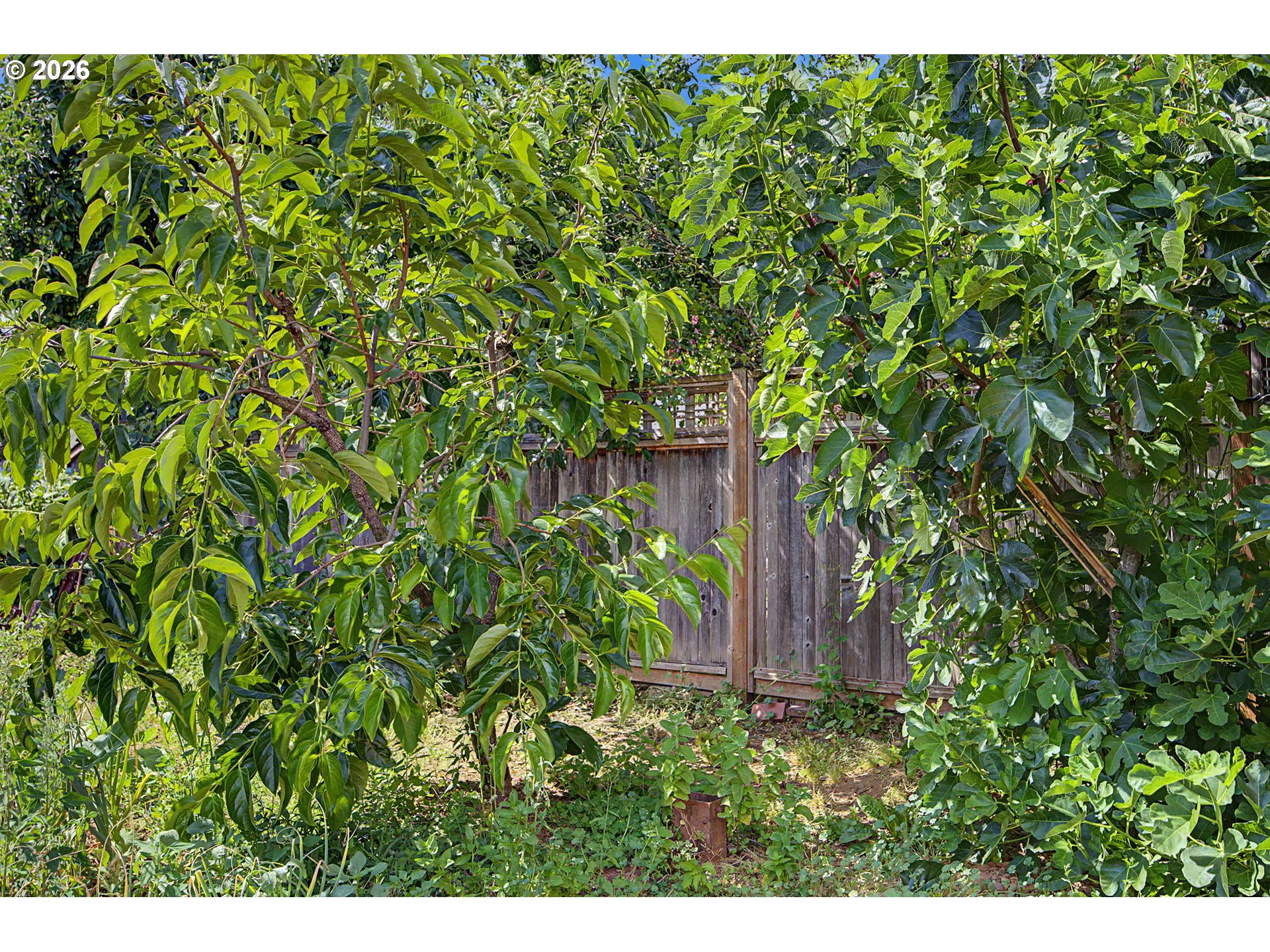 7441 Southeast Rural Street Portland, OR 97206 - Photo 43 of 47 Backyard