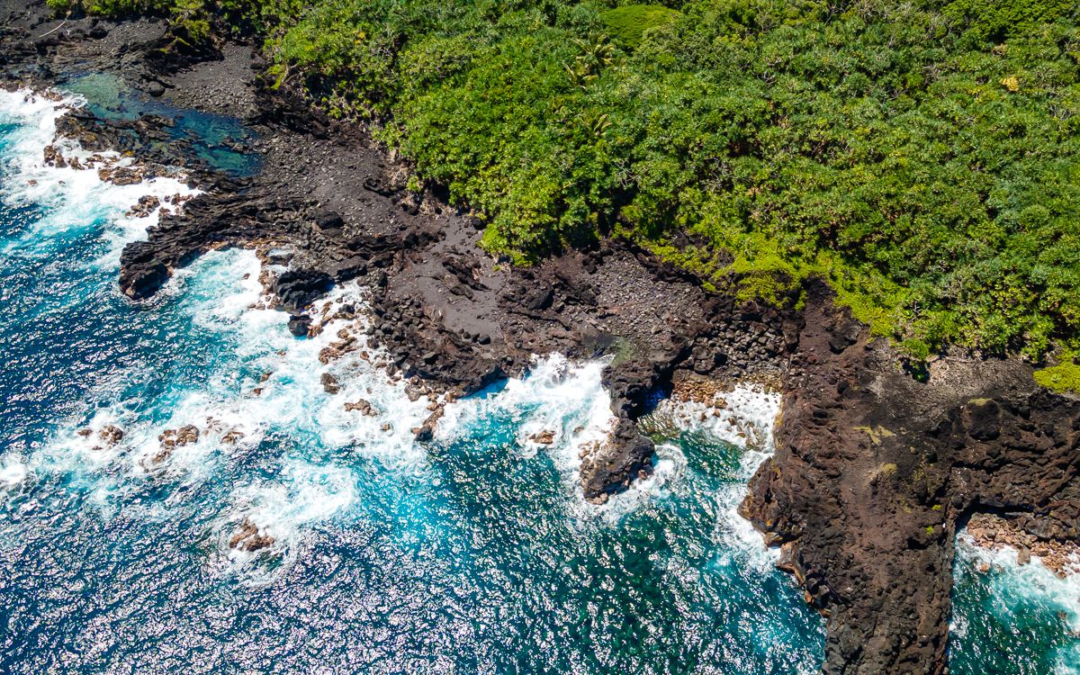 9 Government Beach Road Pahoa, HI 96778 - Photo 6 of 20 a view of plants in a forest