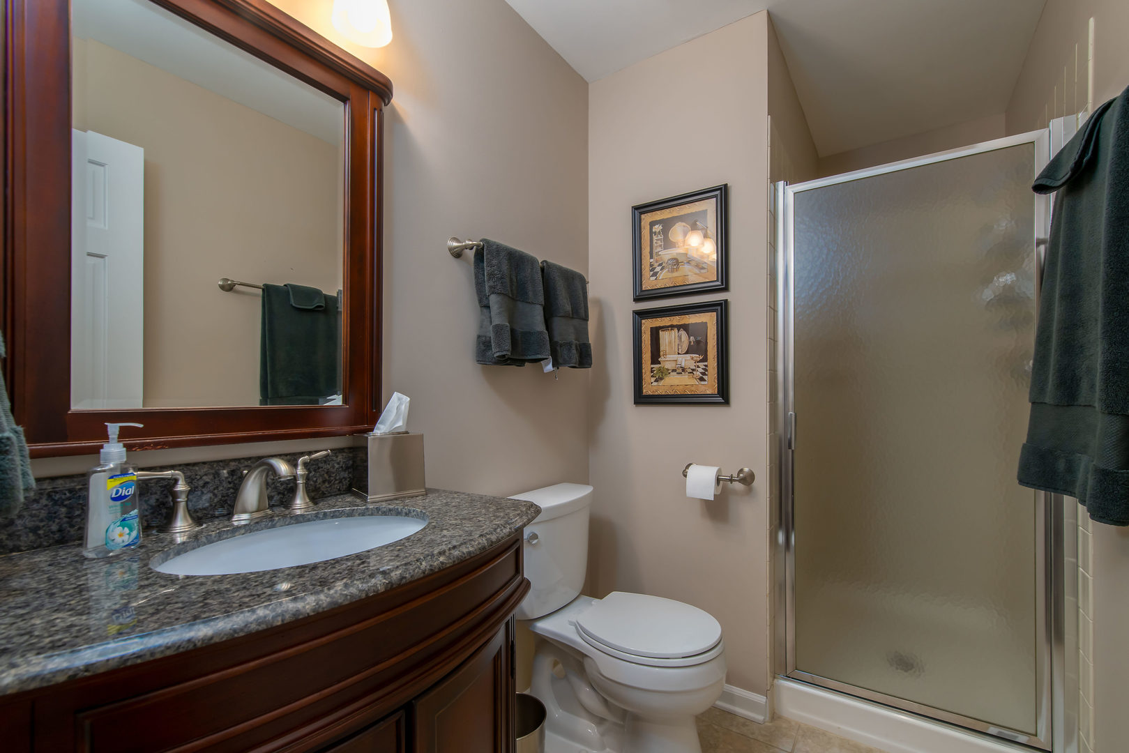 1608 Grommon Road Naperville, IL 60564 - Photo 20 of 48 a bathroom with a granite countertop sink toilet and mirror