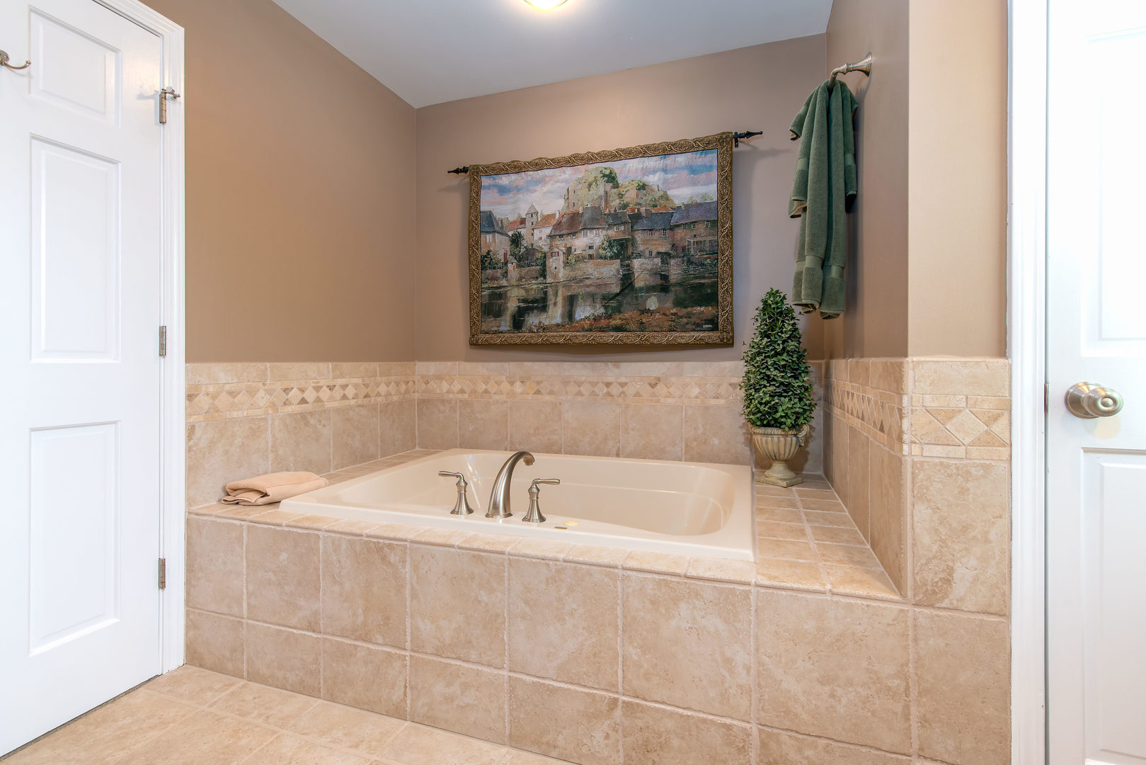 1608 Grommon Road Naperville, IL 60564 - Photo 25 of 48 a bathroom with a bathtub and shower