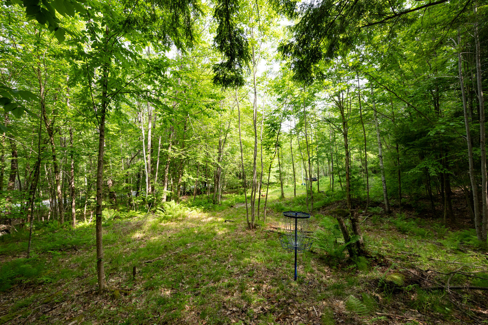 237-001 Hopper Road Acton, ME 04001 - Photo 19 of 19 DSC_2399