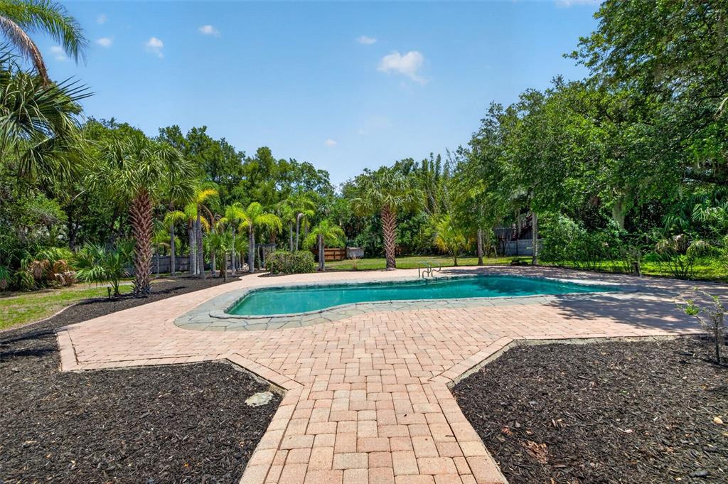 1007 State Street East Oldsmar, FL 34677 - Photo 44 of 65