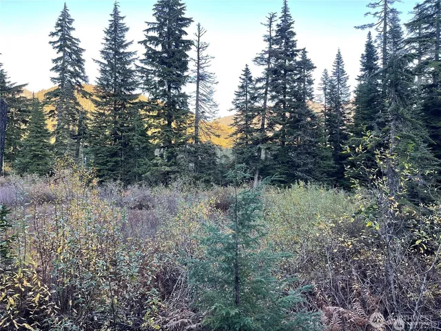 $150,000 | 63 Snoqualmie Village Drive, Snoqualmie Pass, WA 98068