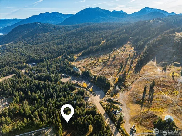 a view of a lush green hillside and a mountain view