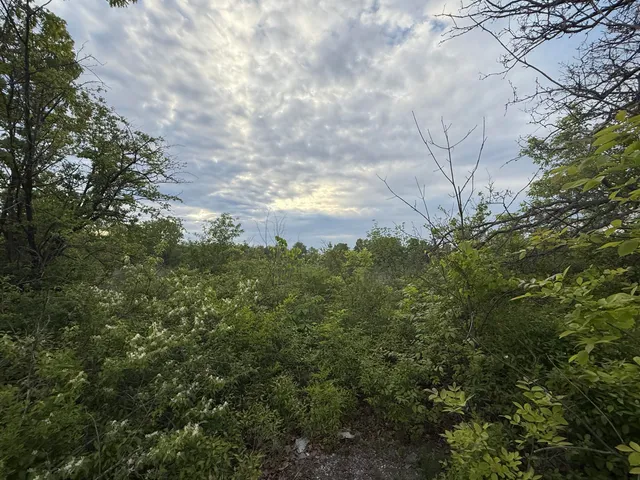 $23,900 | V/l East Chicago Road, Cement City, MI 49233