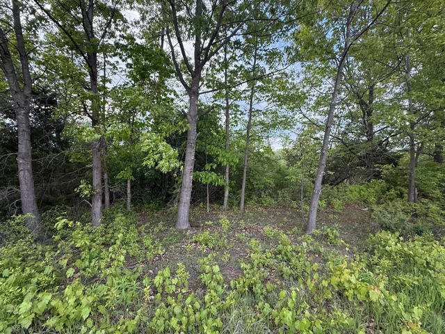 $23,900 | V/l East Chicago Road, Cement City, MI 49233