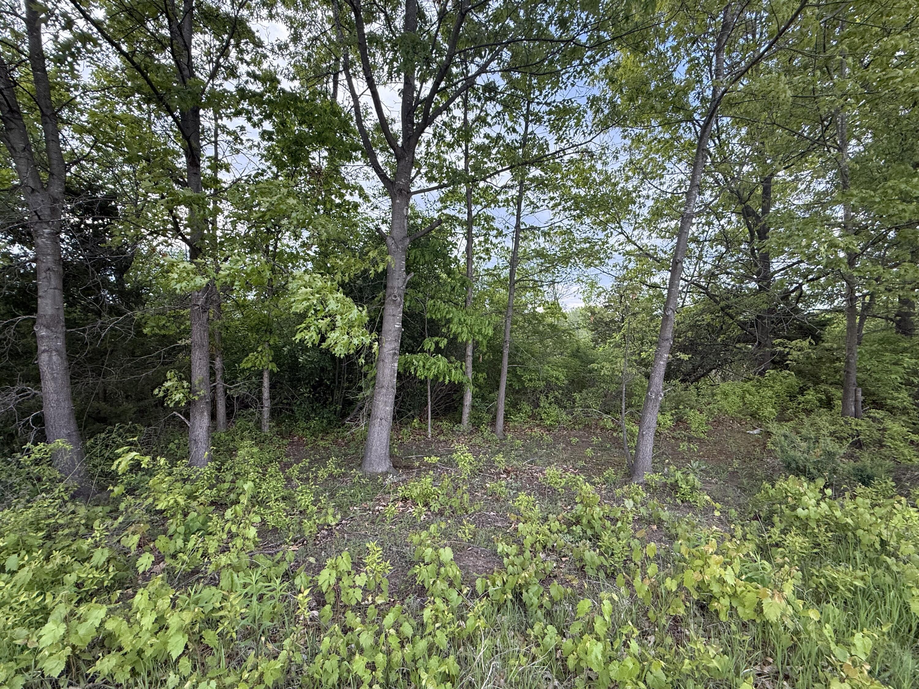 Vl East Chicago Road Cement City, MI 49233 - Photo 12 of 17 IMG_6861