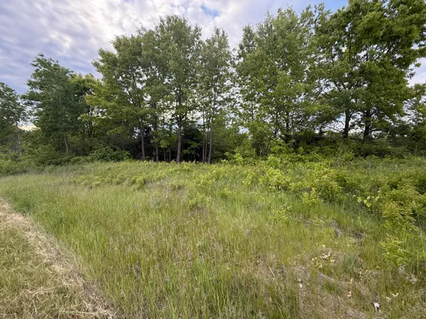 $23,900 | Vl East Chicago Road, Cement City, MI 49233