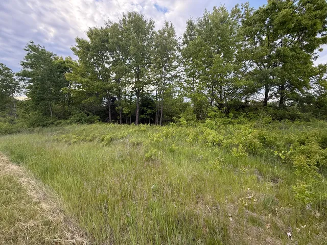 $23,900 | V/l East Chicago Road, Cement City, MI 49233