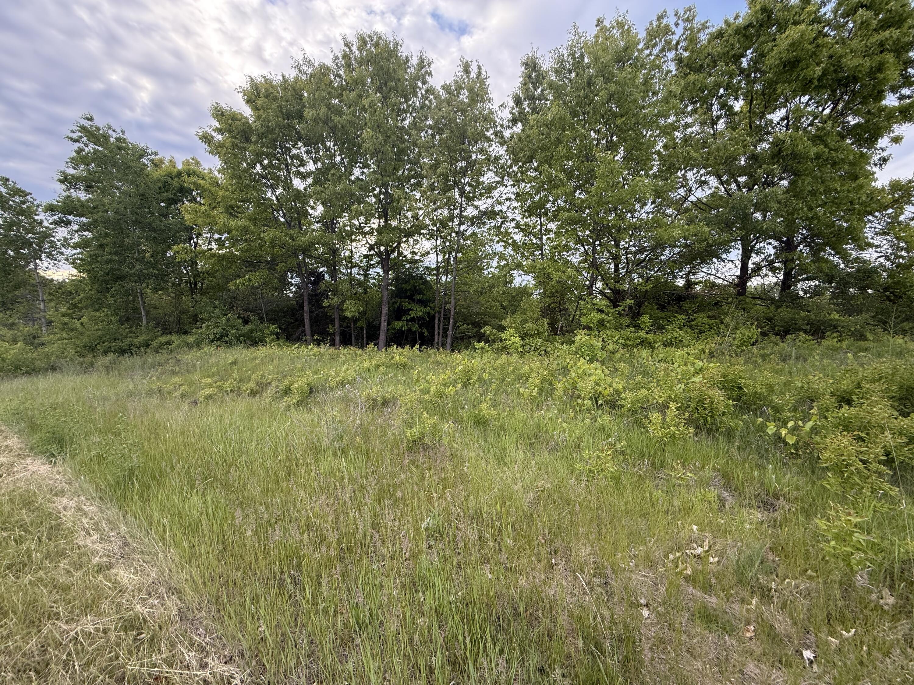 Vl East Chicago Road Cement City, MI 49233 - Photo 13 of 17 IMG_6858