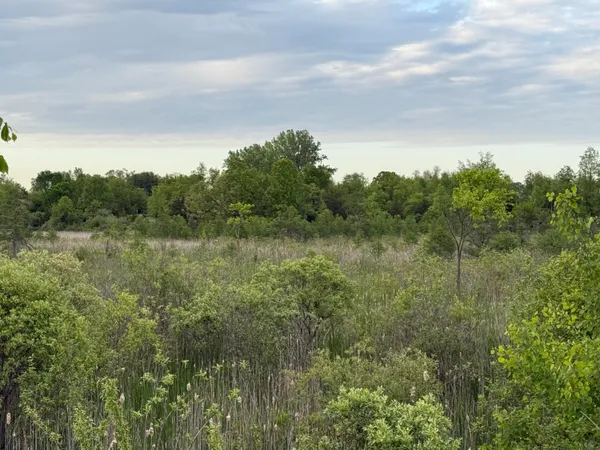 $23,900 | Vl East Chicago Road, Cement City, MI 49233