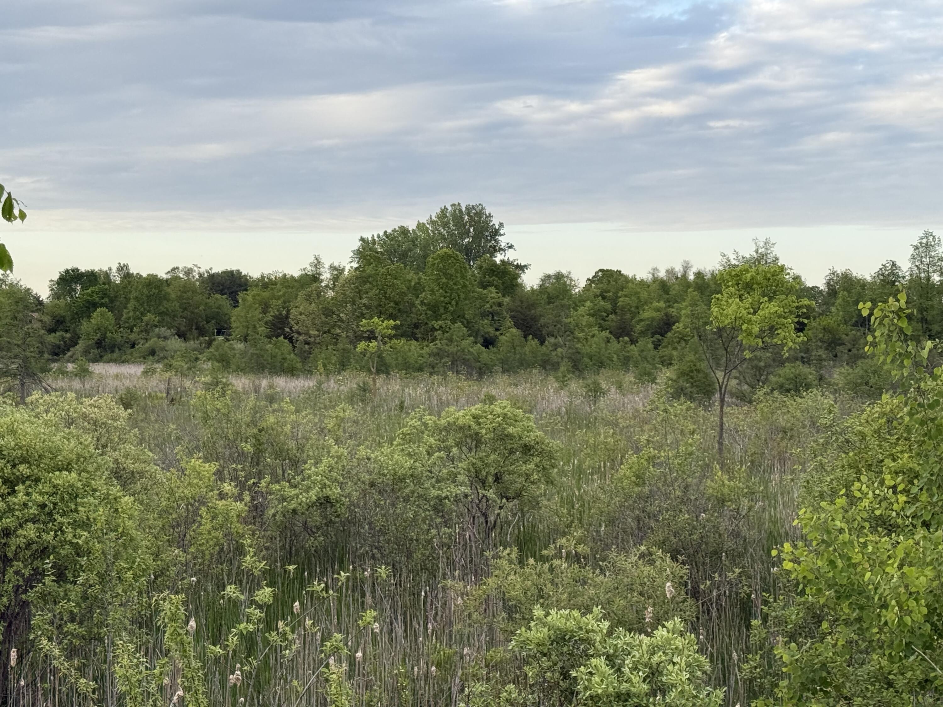 Vl East Chicago Road Cement City, MI 49233 - Photo 15 of 17 IMG_6870