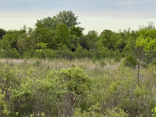 $23,900 | V/l East Chicago Road, Cement City, MI 49233