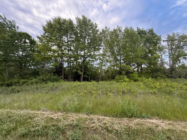 $23,900 | Vl East Chicago Road, Cement City, MI 49233