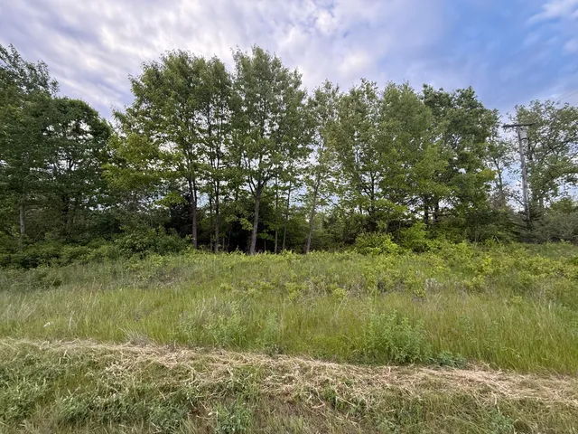 $23,900 | V/l East Chicago Road, Cement City, MI 49233