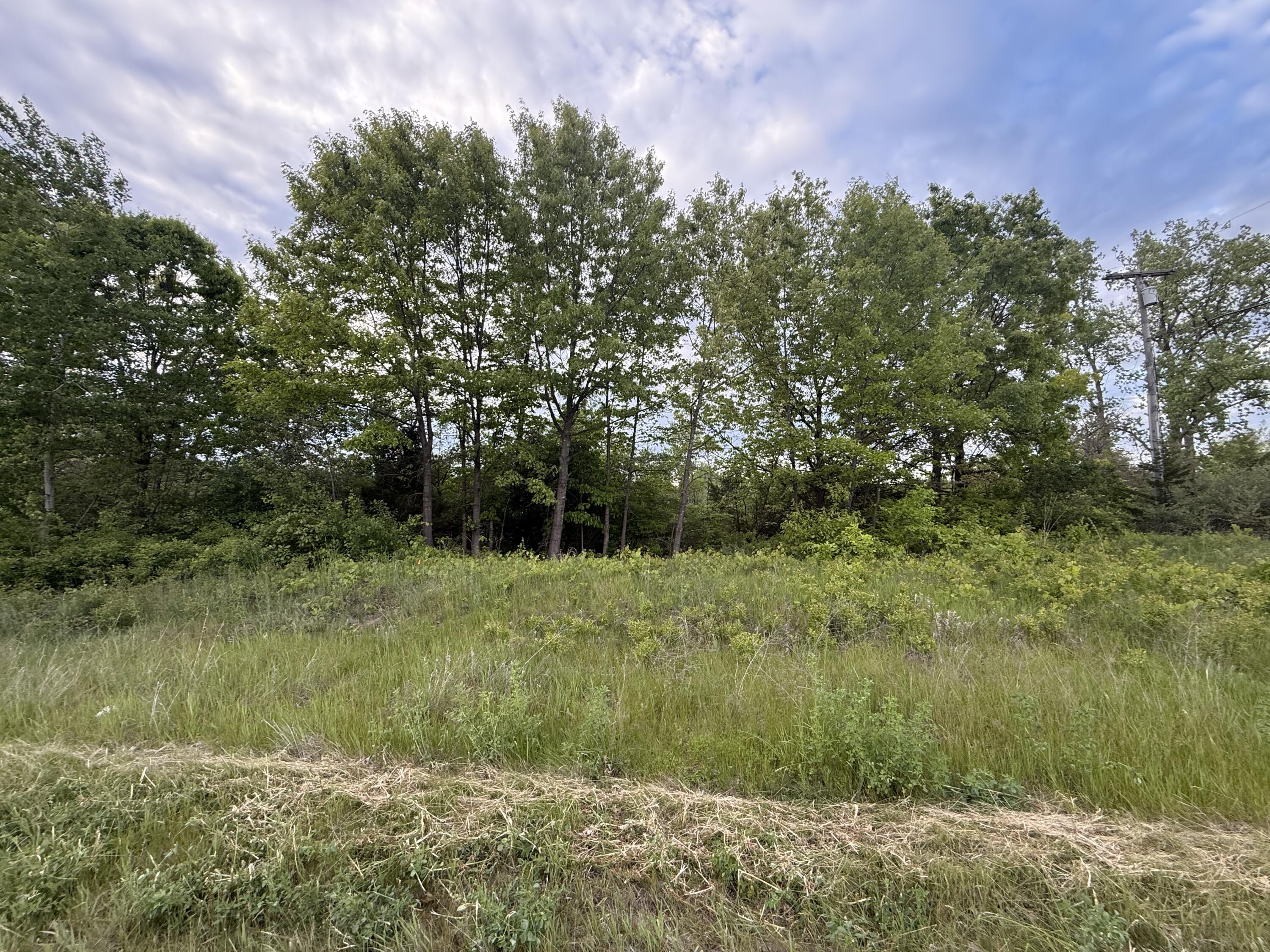 Vl East Chicago Road Cement City, MI 49233 - Photo 17 of 17 IMG_6866